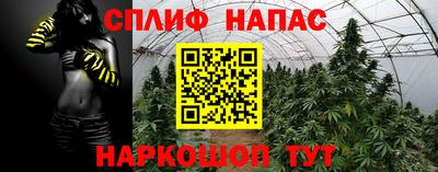 прущий лед Бердск