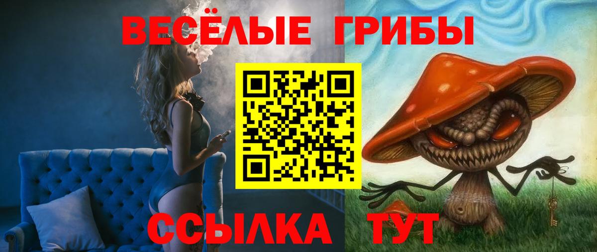 Галлюциногенные грибы Psilocybine cubensis  Вход с VPN  закладка  Звенигород 