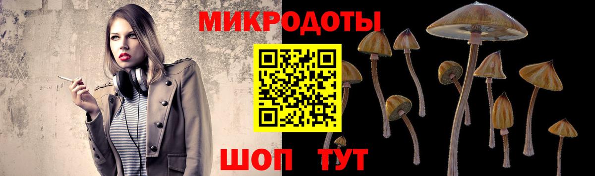 Галлюциногенные грибы Psilocybine cubensis Звенигород